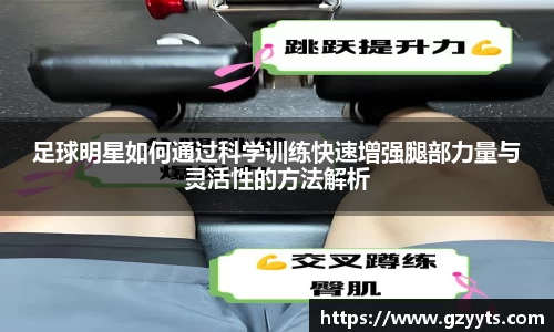 必一运动b-sports平台